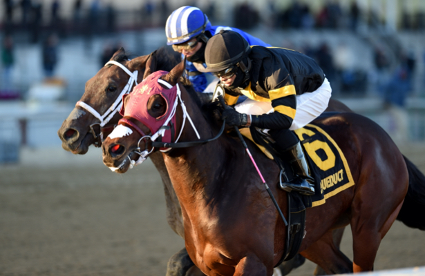 2020 Withers Stakes Free Pick & Handicapping Odds & Prediction
