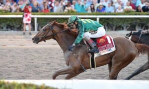 2020 Fountain Of Youth Stakes Free Pick & Handicapping Odds & Prediction