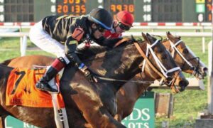 2020 Risen Star Stakes Race 1 Free Pick