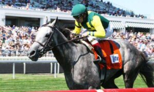2020 Sam F Davis Stakes Free Pick & Handicapping Odds & Prediction