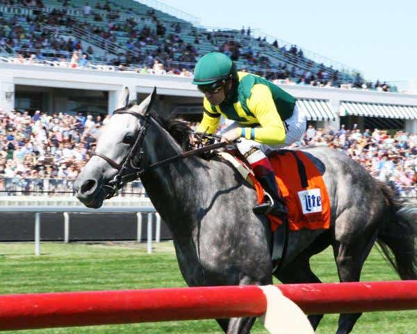 2020 Sam F Davis Stakes Free Pick & Handicapping Odds & Prediction