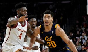 Arizona Wildcats vs. Cal Golden Bears – 2/13/2020 Free Pick & CBB Betting Prediction