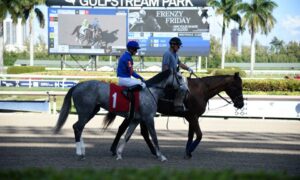 2020 Florida Derby Free Pick & Handicapping Odds & Prediction