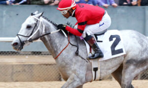 2020 Rebel Stakes Stakes Free Pick & Handicapping Odds & Prediction