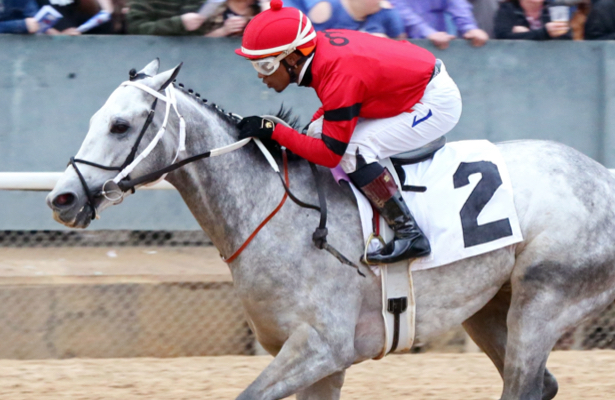 2020 Rebel Stakes Stakes Free Pick & Handicapping Odds & Prediction
