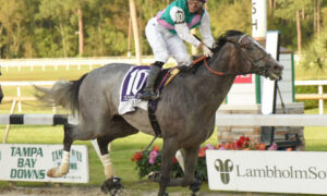 2020 Tampa Bay Derby Free Pick