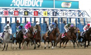 2020 Gotham Stakes Free Pick & Handicapping Odds & Prediction