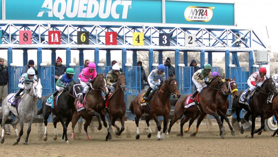 2020 Gotham Stakes Free Pick & Handicapping Odds & Prediction