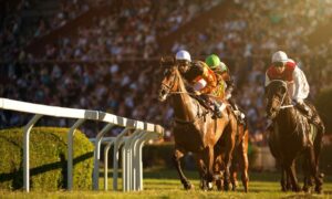 2020 Oaklawn Handicap Free Pick & Handicapping Odds & Prediction