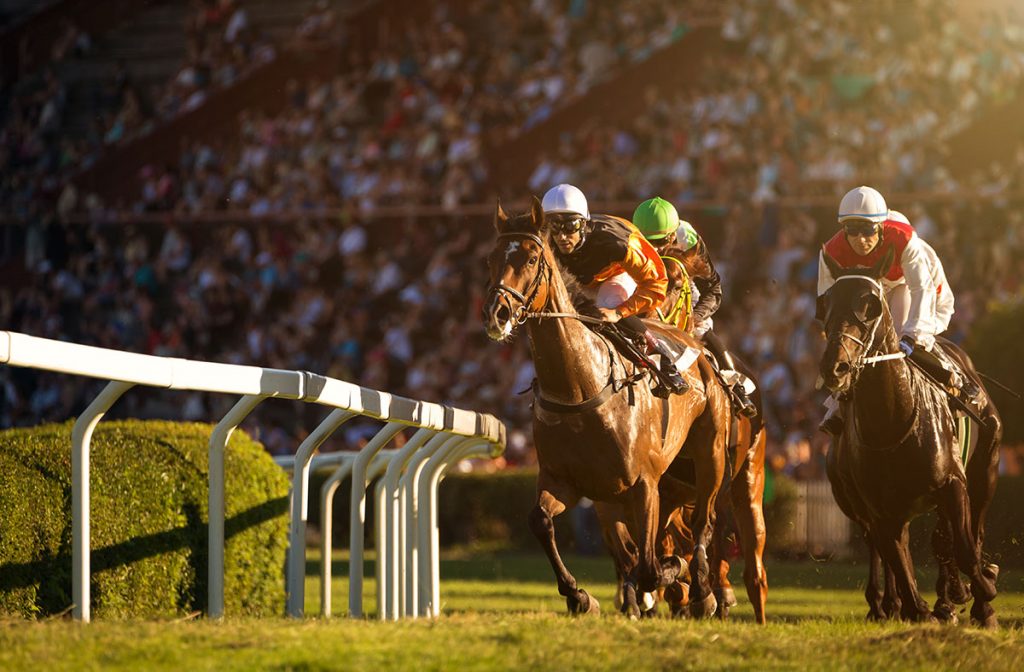 2020 Oaklawn Handicap Free Pick & Handicapping Odds & Prediction