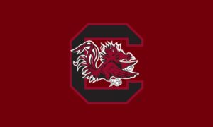 2020 South Carolina Gamecocks Predictions | NCAA Gambling Odds, Free Pick