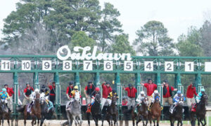 2020 Count Fleet Sprint Handicap Free Pick & Handicapping Odds & Prediction