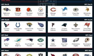 2020 NFL Divisional Football Gambling Odds & NFL Prediction, Free Picks