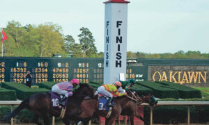 2020 Oaklawn Stakes Free Pick & Handicapping Odds & Prediction