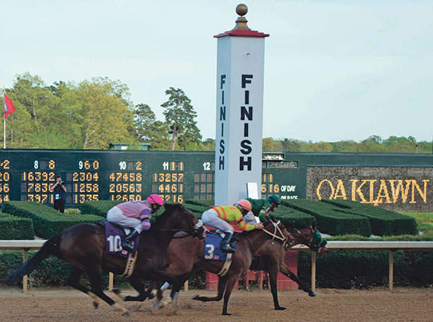 2020 Oaklawn Stakes Free Pick & Handicapping Odds & Prediction