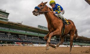 2020 Arkansas Derby Race 2 Free Pick & Handicapping Odds & Prediction