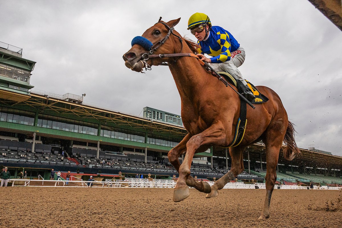 2020 Arkansas Derby Race 1 Free Pick & Handicapping Odds & Prediction