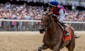 2020 Acorn Stakes Free Pick & Handicapping Odds & Prediction
