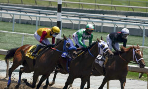 2020 Carter Handicap Free Pick & Handicapping Odds & Prediction