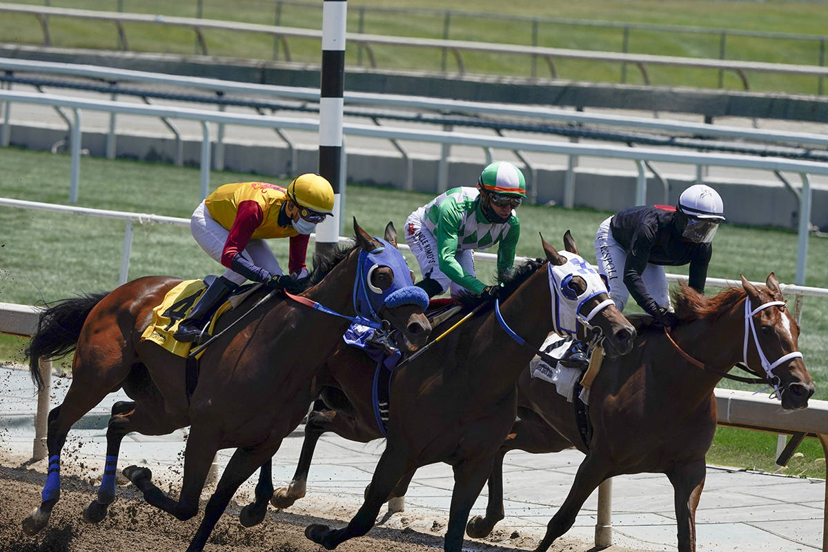 2020 Carter Handicap Free Pick & Handicapping Odds & Prediction