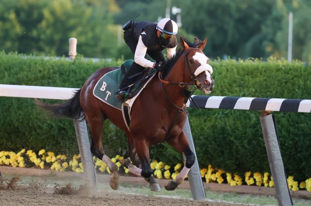 2020 Jaipur Stakes Free Pick & Handicapping Odds & Prediction