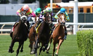2020 Just A Game Stakes Free Pick & Handicapping Odds & Prediction