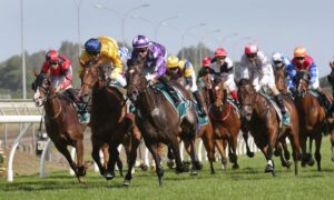 2020 Santa Anita Derby Free Pick & Handicapping Odds & Prediction
