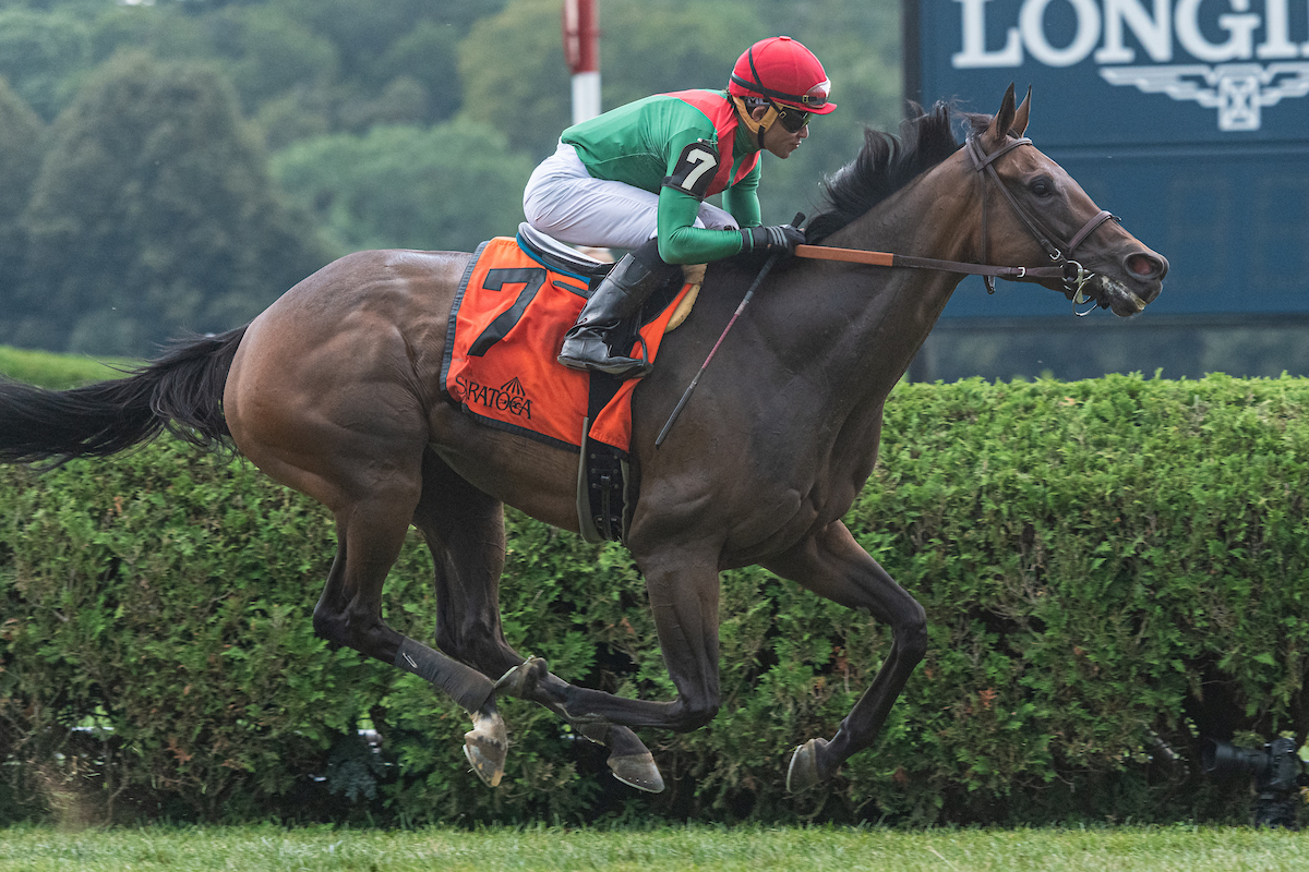 2020 Stephen Foster Stakes Free Pick & Handicapping Odds & Prediction