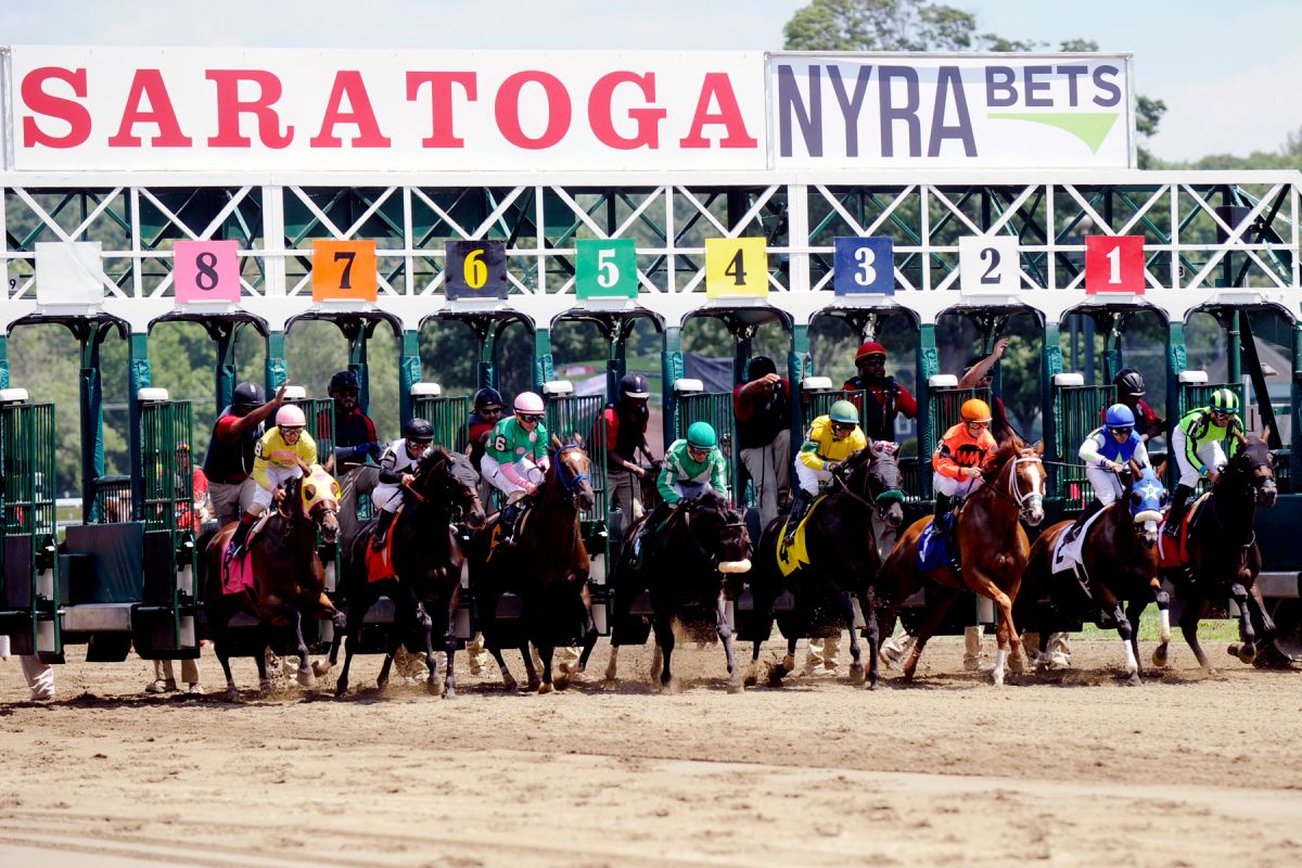 2020 Alfred G Vanderbilt Handicap Free Pick & Handicapping Odds & Prediction