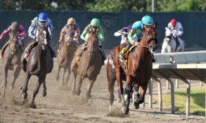 2021 Haskell Stakes Free Pick & Handicapping Odds & Prediction