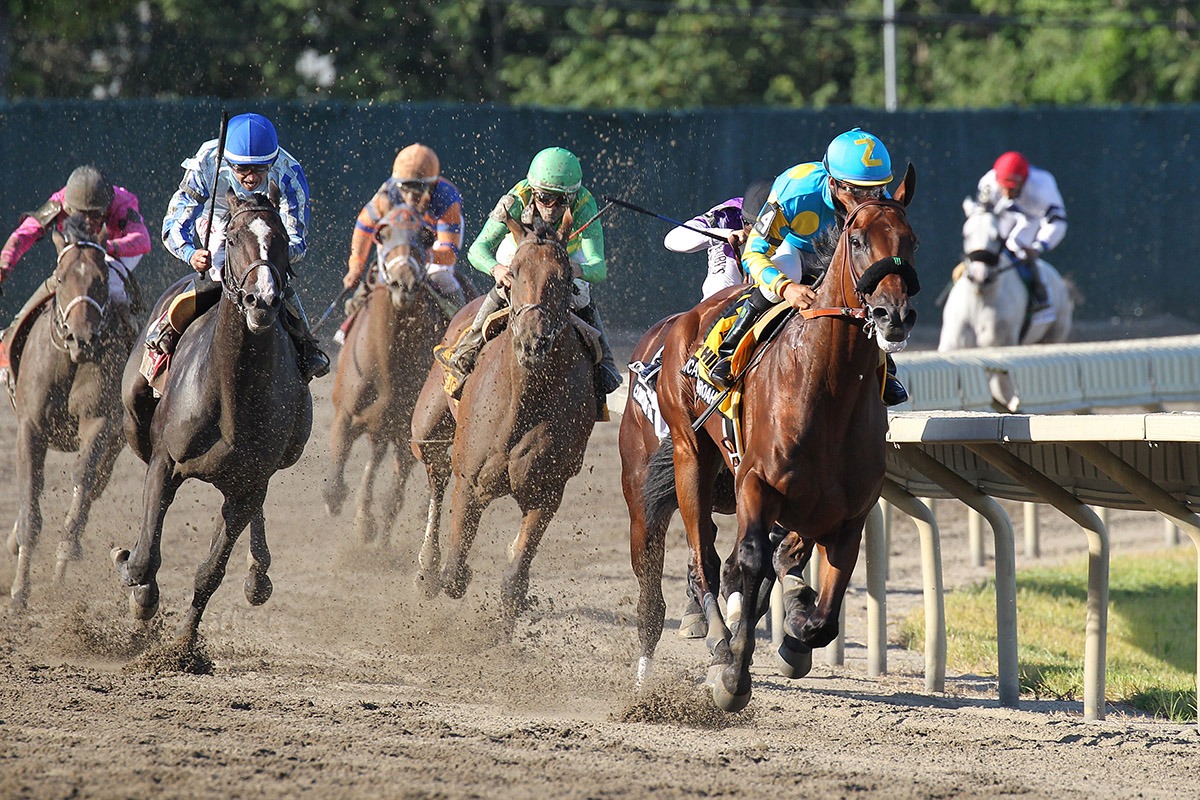 2021 Haskell Stakes Free Pick & Handicapping Odds & Prediction