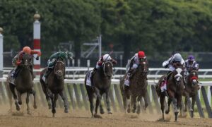2020 United Nations Stakes Free Pick & Handicapping Odds & Prediction