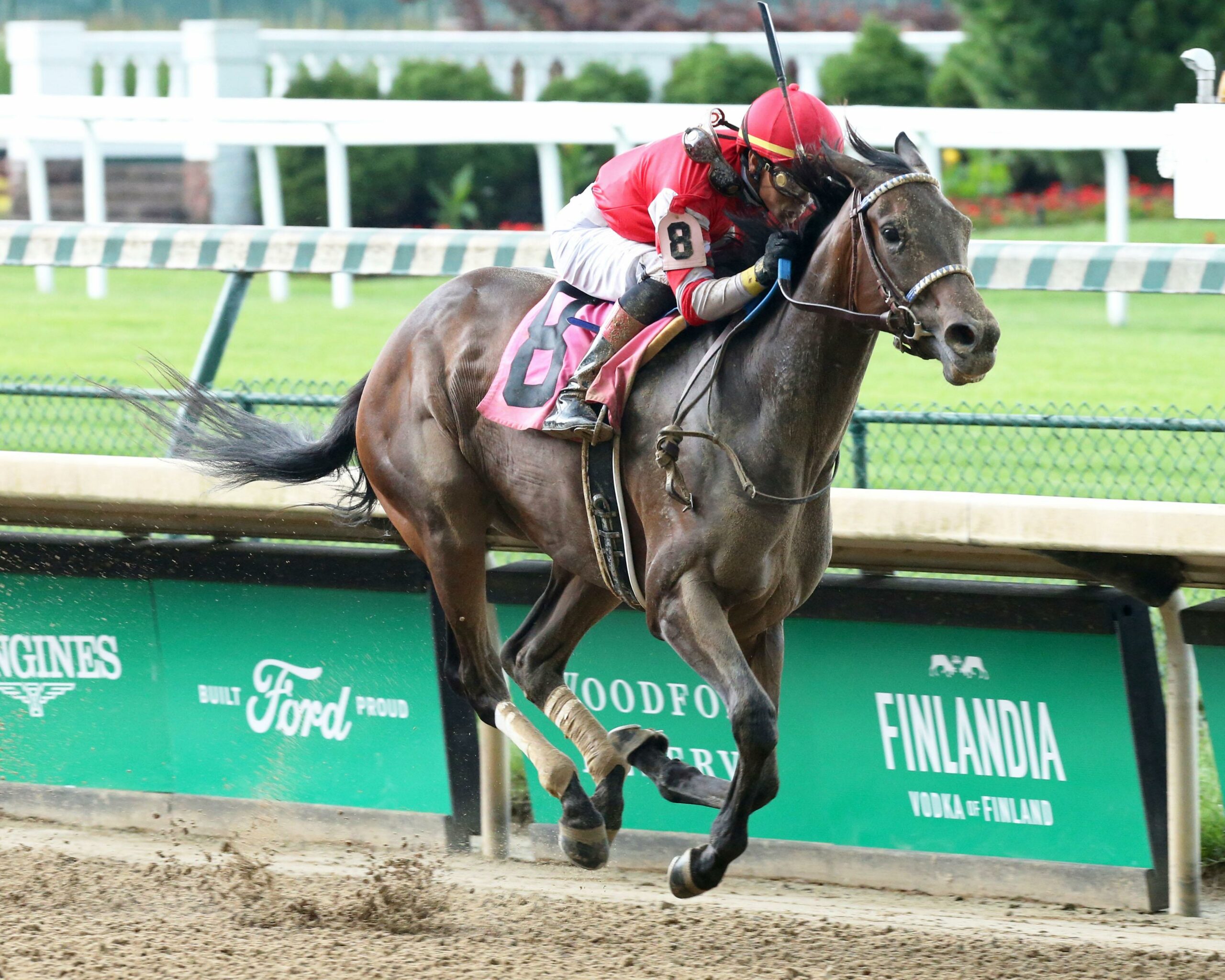 2020 Alabama Stakes Free Pick & Handicapping Odds & Prediction