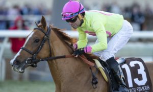 2020 Fourstardave Handicap Free Pick & Handicapping Odds & Prediction