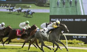 2020 John Henry Turf Stakes Free Pick & Handicapping Odds & Betting Prediction