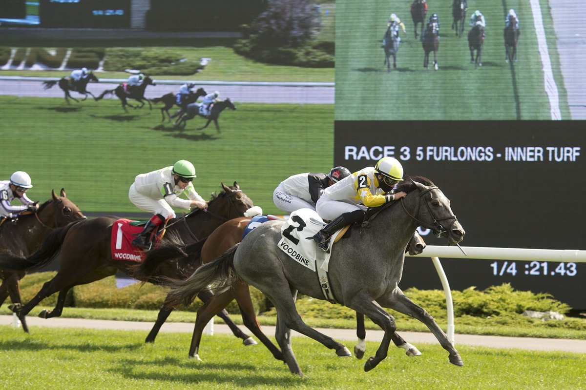 2020 John Henry Turf Stakes Free Pick & Handicapping Odds & Betting Prediction