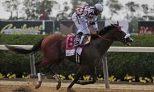 2020 Kentucky Derby Free Pick & Handicapping Odds & Prediction