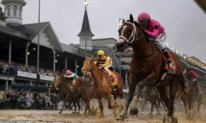 2026 Kentucky Derby Free Pick & Handicapping Odds & Prediction