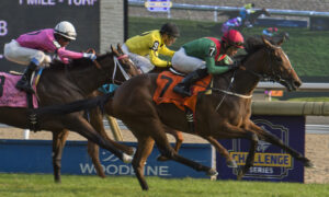 2020 Phoenix Stakes Free Pick & Handicapping Odds & Betting Prediction