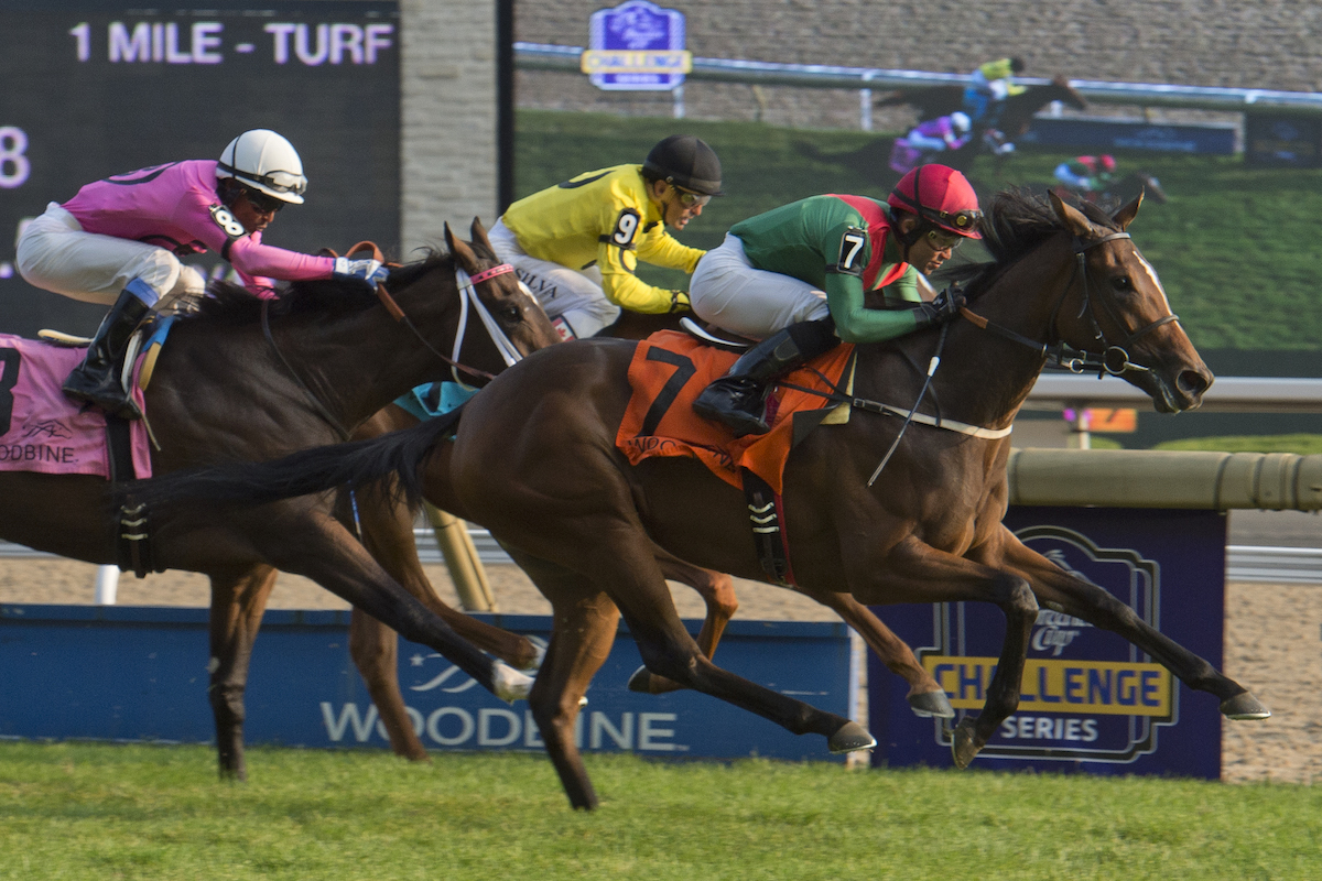 2020 Phoenix Stakes Free Pick & Handicapping Odds & Betting Prediction