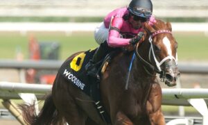 2020 Queen's Plate Free Pick & Handicapping Odds & Prediction