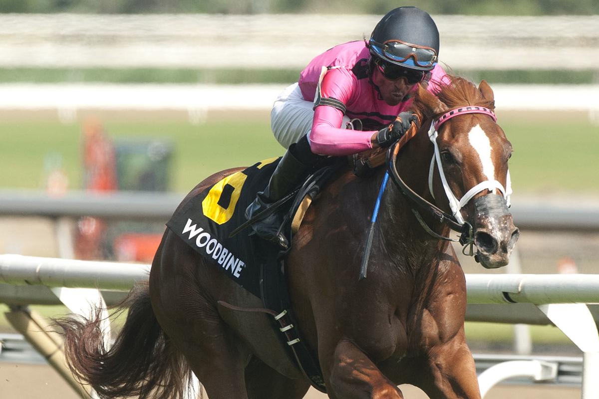 2020 Queen's Plate Free Pick & Handicapping Odds & Prediction