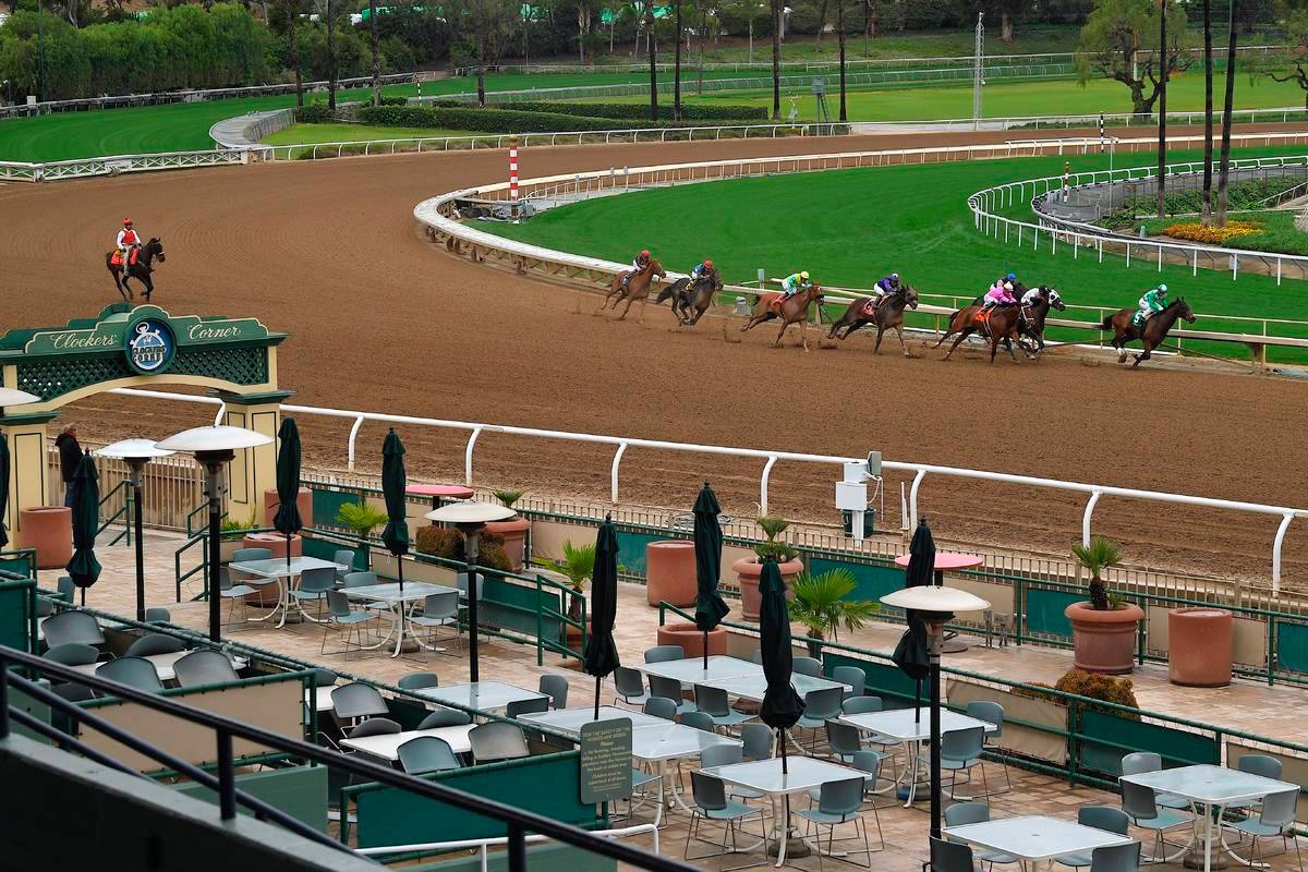2020 Rodeo Drive Stakes Free Pick & Handicapping Odds & Betting Prediction