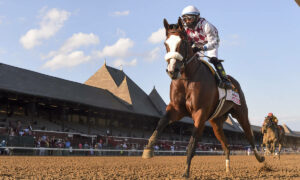 2025 Breeders' Cup Turf Sprint Free Pick & Handicapping Odds & Prediction