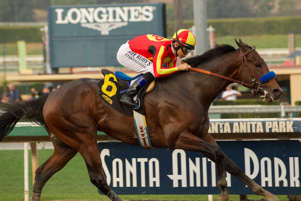 2020 Vosburgh Stakes Free Pick & Handicapping Odds & Prediction