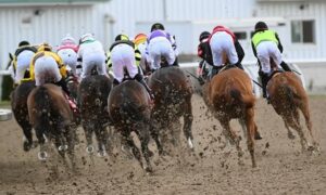 2020 Woodbine Mile Stakes Free Pick & Handicapping Odds & Prediction