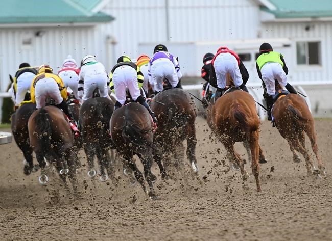 2020 Woodbine Mile Stakes Free Pick & Handicapping Odds & Prediction