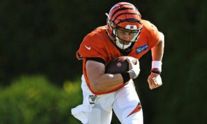 Chicago Bears vs. Cincinnati Bengals Free Pick & NFL Betting Prediction, 11/2/25