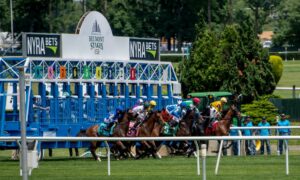 2020 Belmont Derby Invitational Free Pick & Handicapping Odds & Betting Prediction