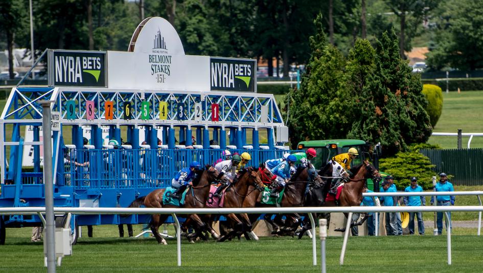 2020 Belmont Derby Invitational Free Pick & Handicapping Odds & Betting Prediction